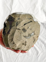 Apophyllite Glass Cluster 2.3kg