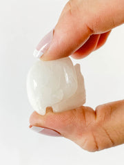White Aventurine Mini Skull