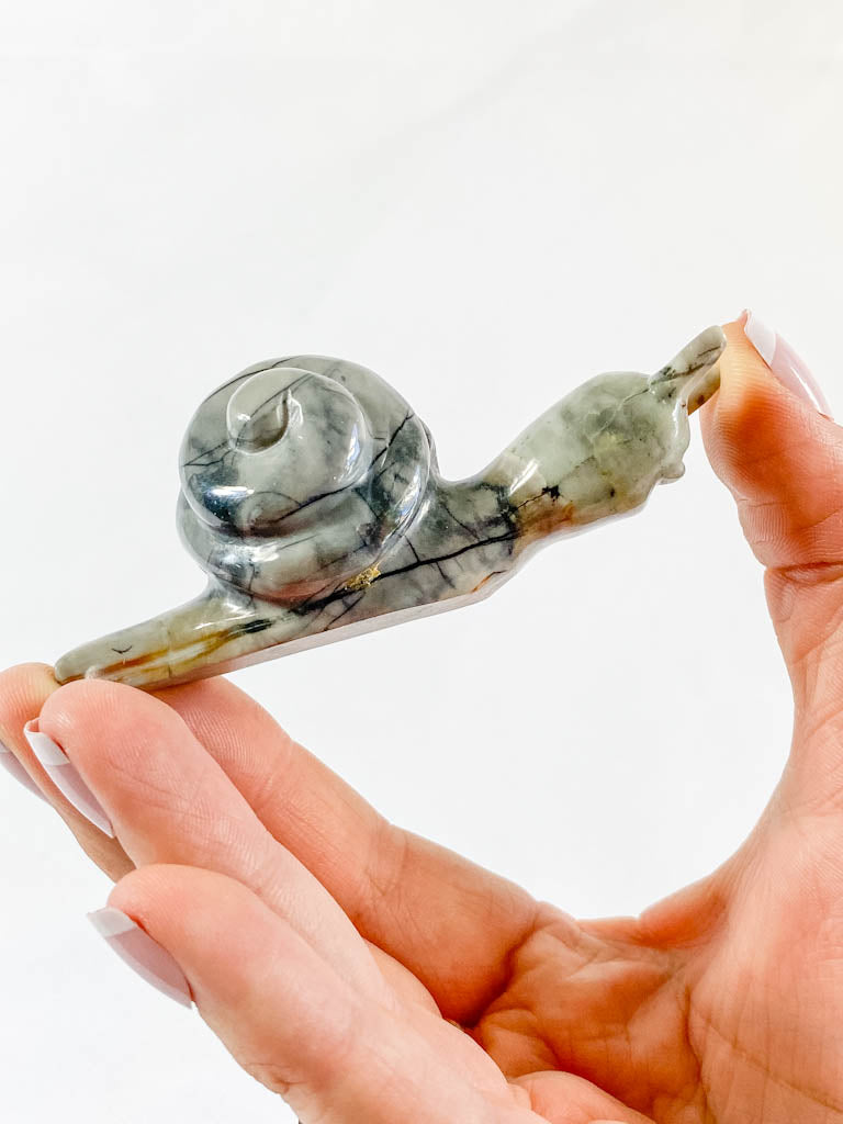 Jasper Snail Carving