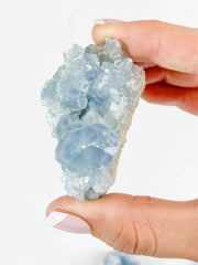 Harmony Duo: Celestite + Glass Apophyllite | Medium