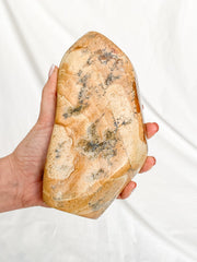 Picture Jasper Polished CutBase 1.4kg