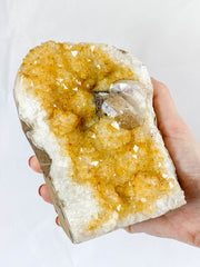 Citrine CutBase Cluster with Calcite and Druzy Inclusions 1.4kg