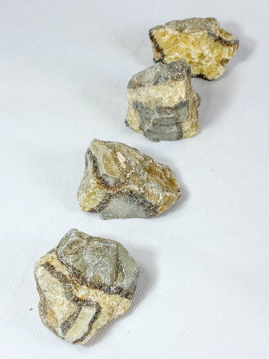 Septarian Natural | Large