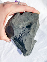 Shungite Natural | XXX Large
