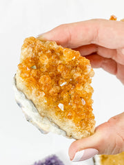 Meditation Divine Pair: Amethyst + Citrine | Large