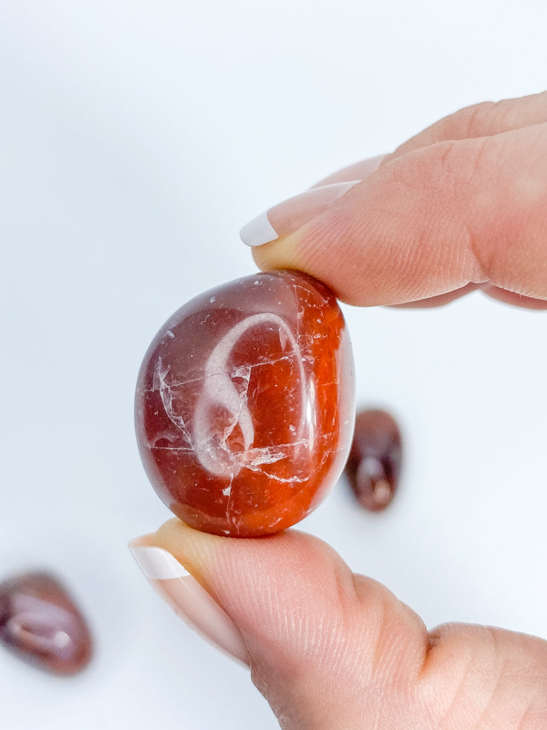 Dark Carnelian Tumbles | Medium