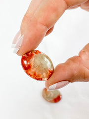 Red Coral | Mini
