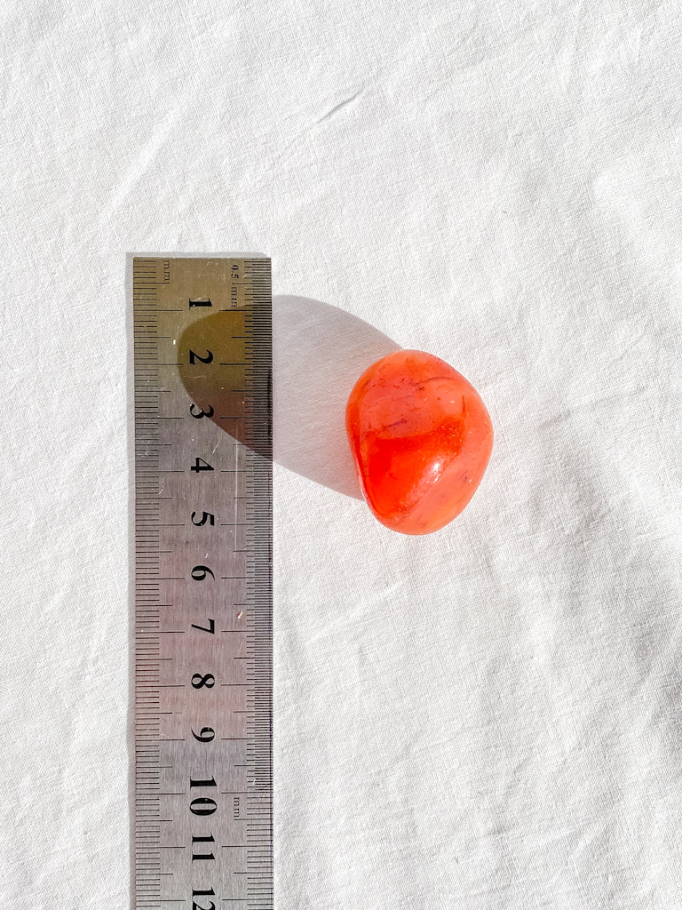 Carnelian Tumbles | Large