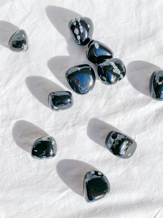 Snowflake Obsidian Tumbles | Small