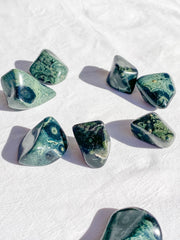 Crocodile Jasper [Kambaba] Tumbles | Medium