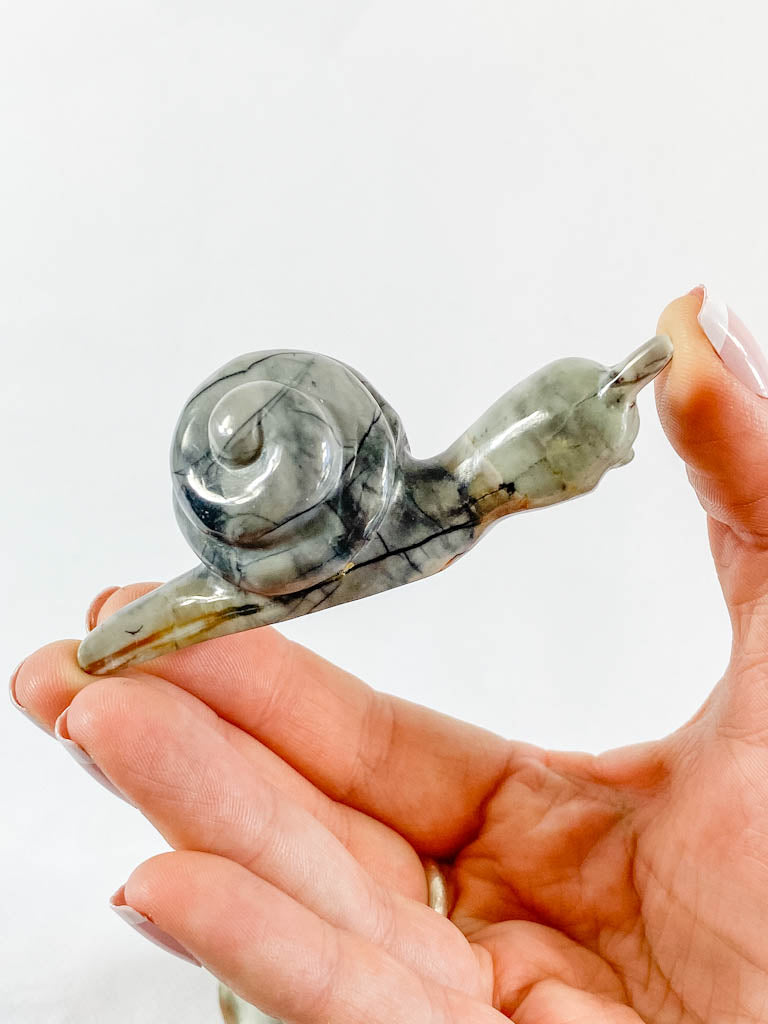 Jasper Snail Carving