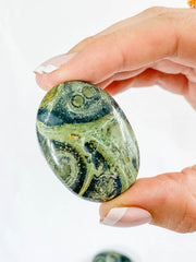 Kambaba/Crocodile Jasper Worry Stone