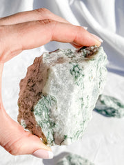 Tree Agate Natural | XX Large
