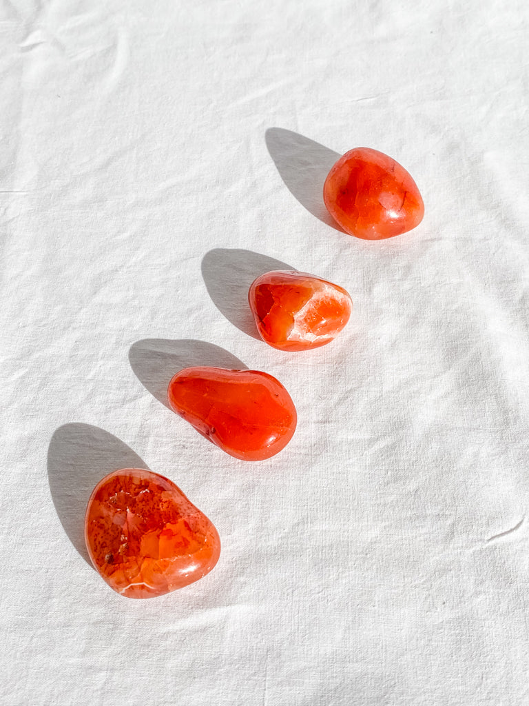 Carnelian Tumbles | Large