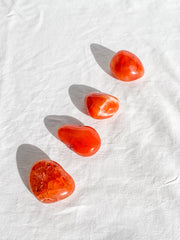 Carnelian Tumbles | Large