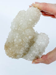 Finger Coral Quartz Cluster 340g