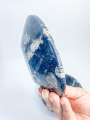 Orthoceras Bowl | XX Large