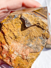 Tiger Eye Red and Brown Semi Polished Point | Large