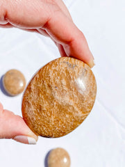 Aragonite PalmStone | Medium