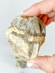 Septarian Natural | Large