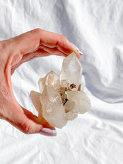 Smoky Himalayan Quartz with Inclusions Cluster 207g