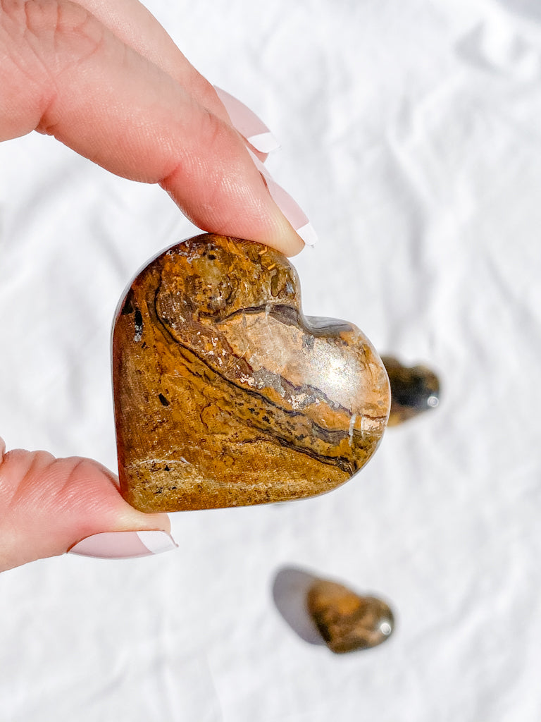 Stromatolite Heart | Medium