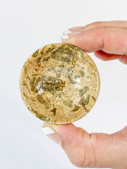 Fossil Coral Bowl | Small