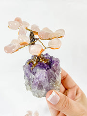 Crystal Bonsai Tree Rose Quartz on Amethyst Base