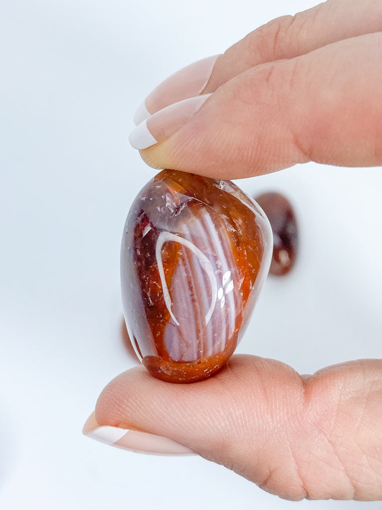 Dark Carnelian Tumbles | Medium
