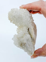 Finger Coral Quartz Cluster 340g